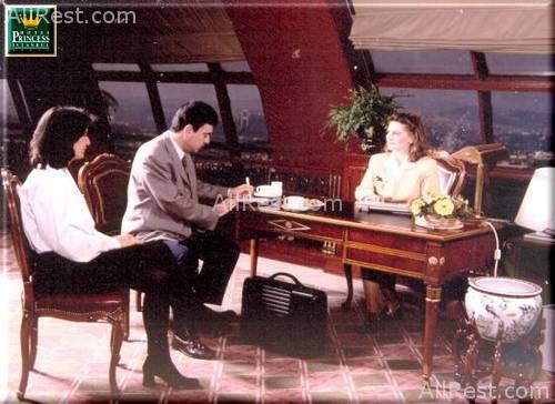 Istanbul Princess Hotel 20